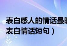 表白感人的情话最暖心短句（最能打动人心的表白情话短句）