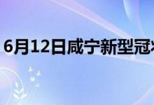 6月12日咸宁新型冠状病毒肺炎疫情最新消息