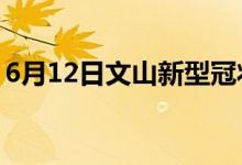 6月12日文山新型冠状病毒肺炎疫情最新消息