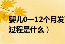 婴儿0一12个月发育（婴儿0-12个月的发育过程是什么）