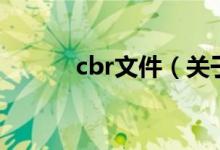 cbr文件（关于cbr文件的介绍）