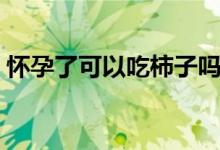 怀孕了可以吃柿子吗（怀孕了可以吃桂圆吗）