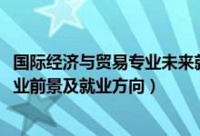 国际经济与贸易专业未来就业（2022国际经济与贸易专业就业前景及就业方向）