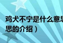 鸡犬不宁是什么意思（关于鸡犬不宁是什么意思的介绍）