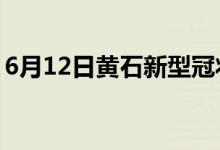 6月12日黄石新型冠状病毒肺炎疫情最新消息