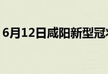 6月12日咸阳新型冠状病毒肺炎疫情最新消息