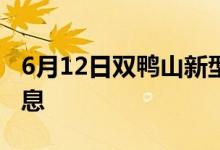 6月12日双鸭山新型冠状病毒肺炎疫情最新消息