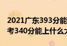 2021广东393分能上什么大学（2022广东高考340分能上什么大学）