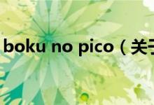 boku no pico（关于boku no pico的介绍）