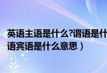 英语主语是什么?谓语是什么?宾语是什么?（英语中的主语谓语宾语是什么意思）