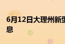 6月12日大理州新型冠状病毒肺炎疫情最新消息