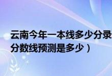 云南今年一本线多少分录取2020（云南2022高考一本录取分数线预测是多少）