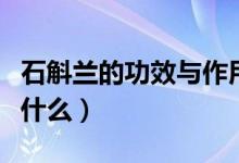 石斛兰的功效与作用（石斛兰的功效与作用是什么）