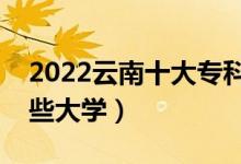 2022云南十大专科学校排名（高职可以考哪些大学）