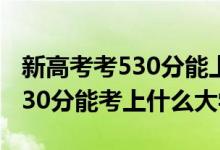 新高考考530分能上什么大学（2022年高考530分能考上什么大学）