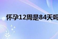 怀孕12周是84天吗（怀孕12周是几个月）