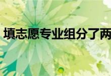 填志愿专业组分了两个怎么填（有什么技巧）