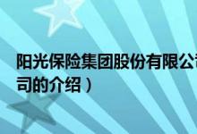 阳光保险集团股份有限公司（关于阳光保险集团股份有限公司的介绍）