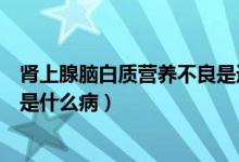 肾上腺脑白质营养不良是遗传病吗（肾上腺脑白质营养不良是什么病）