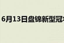 6月13日盘锦新型冠状病毒肺炎疫情最新消息