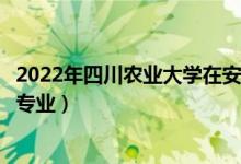 2022年四川农业大学在安徽招生计划及招生人数（都招什么专业）