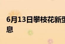 6月13日攀枝花新型冠状病毒肺炎疫情最新消息