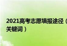 2021高考志愿填报途径（2022高考填报志愿时需要知道的关键词）