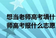 想当老师高考填什么志愿（2022高考想当教师高考报什么志愿）