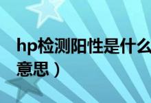 hp检测阳性是什么意思（hp检测阳性十什么意思）