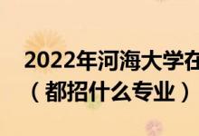 2022年河海大学在广东招生计划及招生人数（都招什么专业）