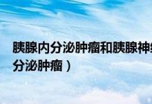 胰腺内分泌肿瘤和胰腺神经内分泌肿瘤（什么是胰腺神经内分泌肿瘤）