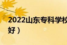 2022山东专科学校排名（哪些大专院校比较好）