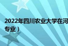 2022年四川农业大学在河北招生计划及招生人数（都招什么专业）