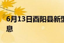 6月13日酉阳县新型冠状病毒肺炎疫情最新消息