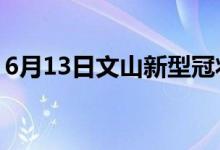 6月13日文山新型冠状病毒肺炎疫情最新消息