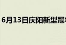 6月13日庆阳新型冠状病毒肺炎疫情最新消息