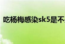 吃杨梅感染sk5是不是真的（吃杨梅上火吗）