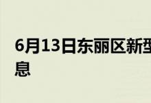 6月13日东丽区新型冠状病毒肺炎疫情最新消息