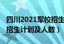 四川2021军校招生计划（2022各军校在四川招生计划及人数）