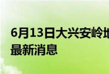 6月13日大兴安岭地区新型冠状病毒肺炎疫情最新消息