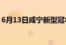 6月13日咸宁新型冠状病毒肺炎疫情最新消息