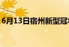 6月13日宿州新型冠状病毒肺炎疫情最新消息