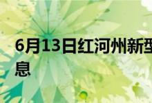 6月13日红河州新型冠状病毒肺炎疫情最新消息