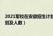 2021军校在安徽招生计划（2022各大军校在安徽的招生计划及人数）