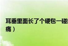 耳垂里面长了个硬包一碰就痛（耳垂里面长了个硬包一按就痛）