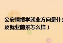 公安情报学就业方向是什么（2022公安情报学专业就业方向及就业前景怎么样）