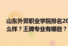 山东外贸职业学院排名2020（2022年山东外贸职业学院怎么样？王牌专业有哪些？）