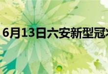 6月13日六安新型冠状病毒肺炎疫情最新消息