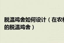 脱温鸡舍如何设计（在农村怎样建造一个5000～10000只鸡的脱温鸡舍）