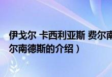 伊戈尔 卡西利亚斯 费尔南德斯（关于伊戈尔 卡西利亚斯 费尔南德斯的介绍）